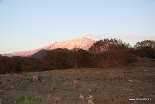 Monte Minardo